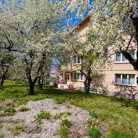 Casa Cu Cires Brasov 아파트 외부 사진