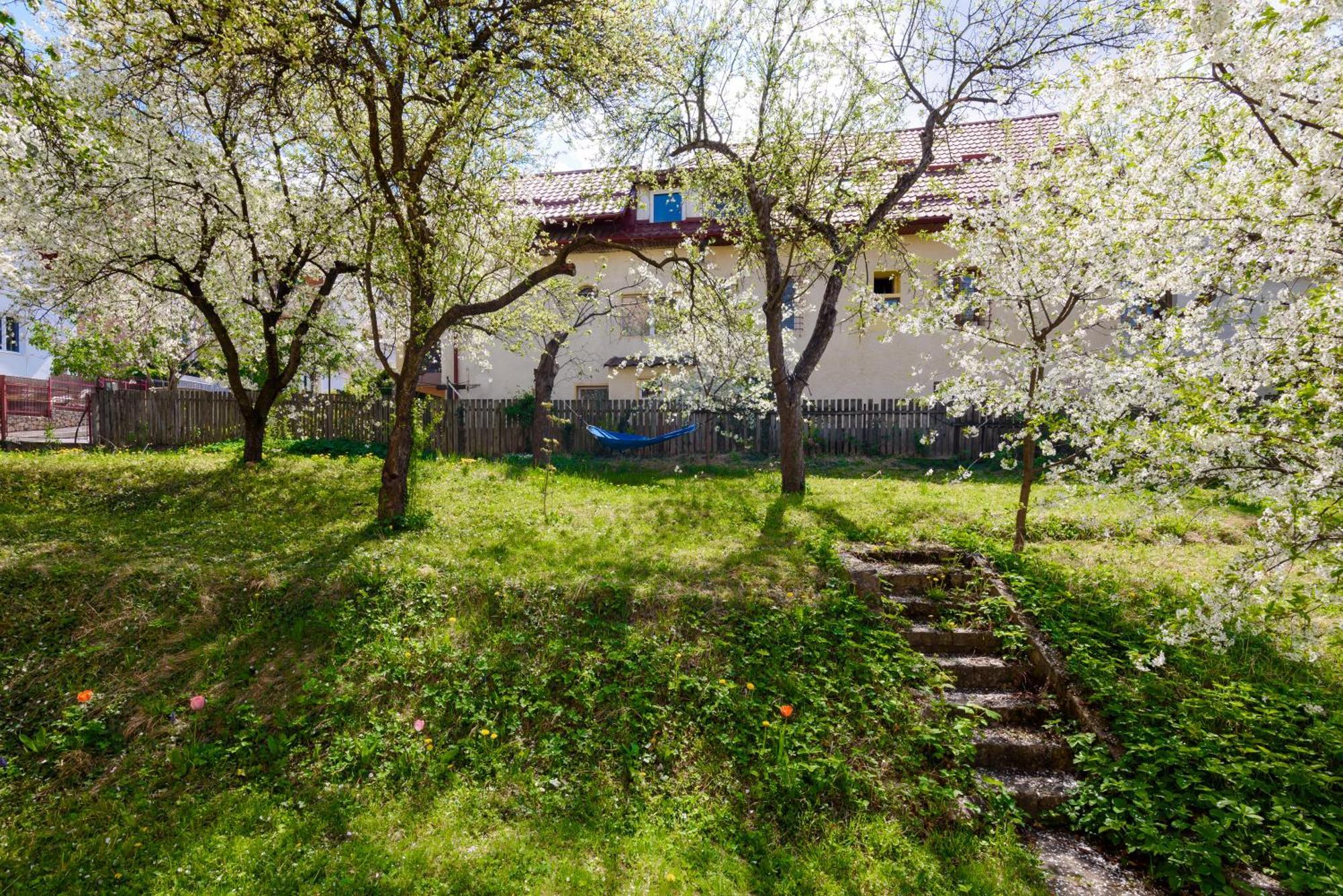 Casa Cu Cires Brasov 아파트 외부 사진