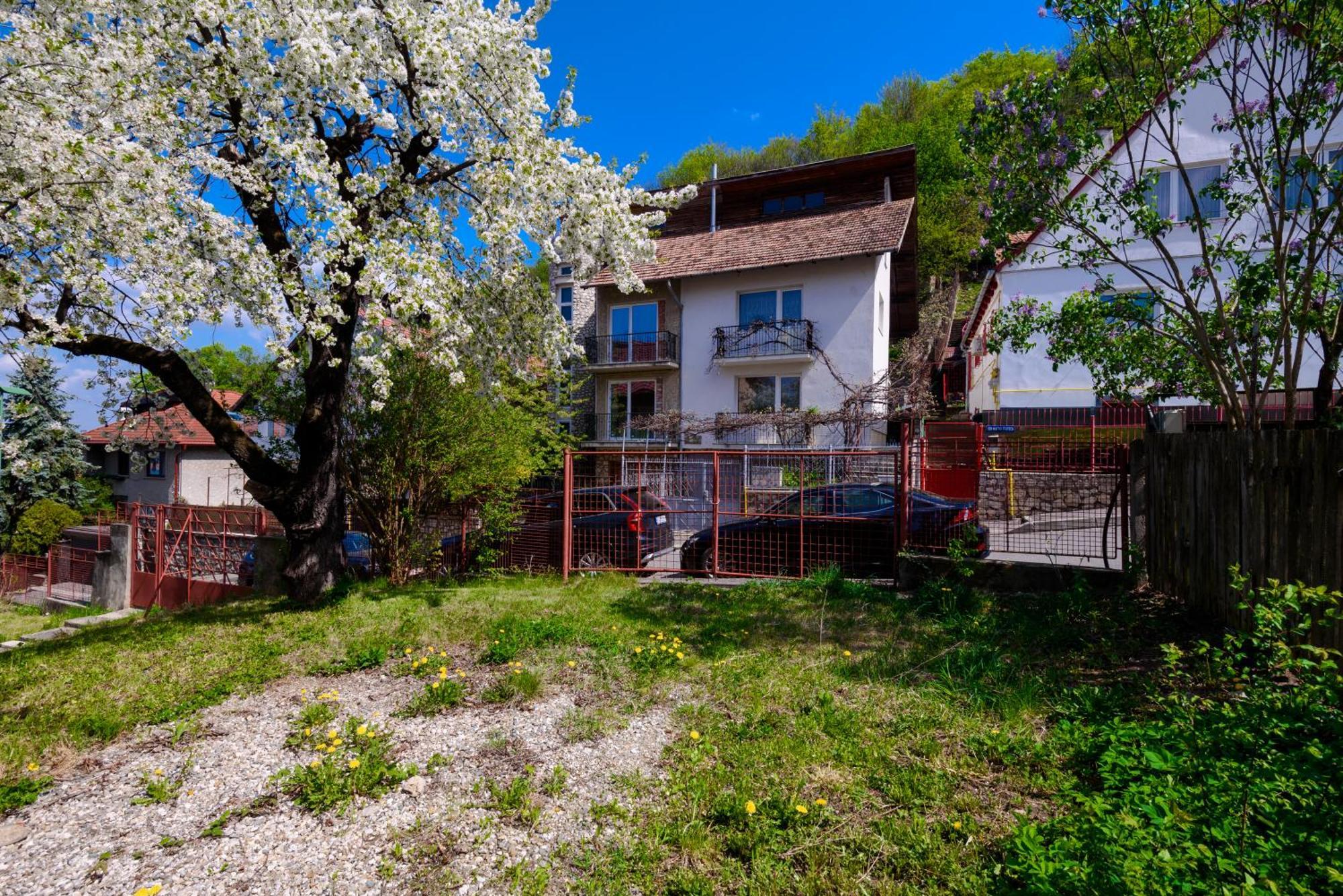 Casa Cu Cires Brasov 아파트 외부 사진