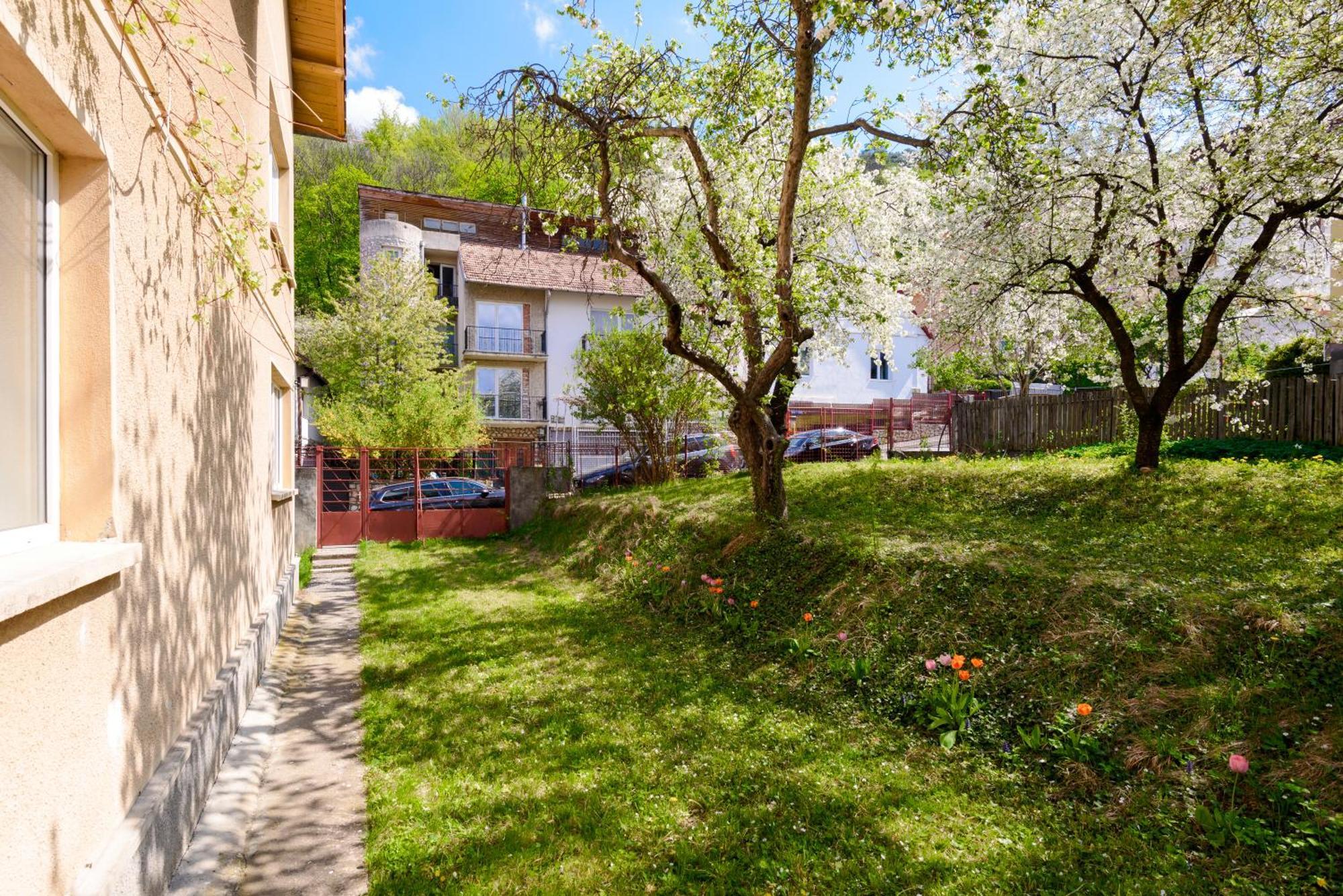 Casa Cu Cires Brasov 아파트 외부 사진