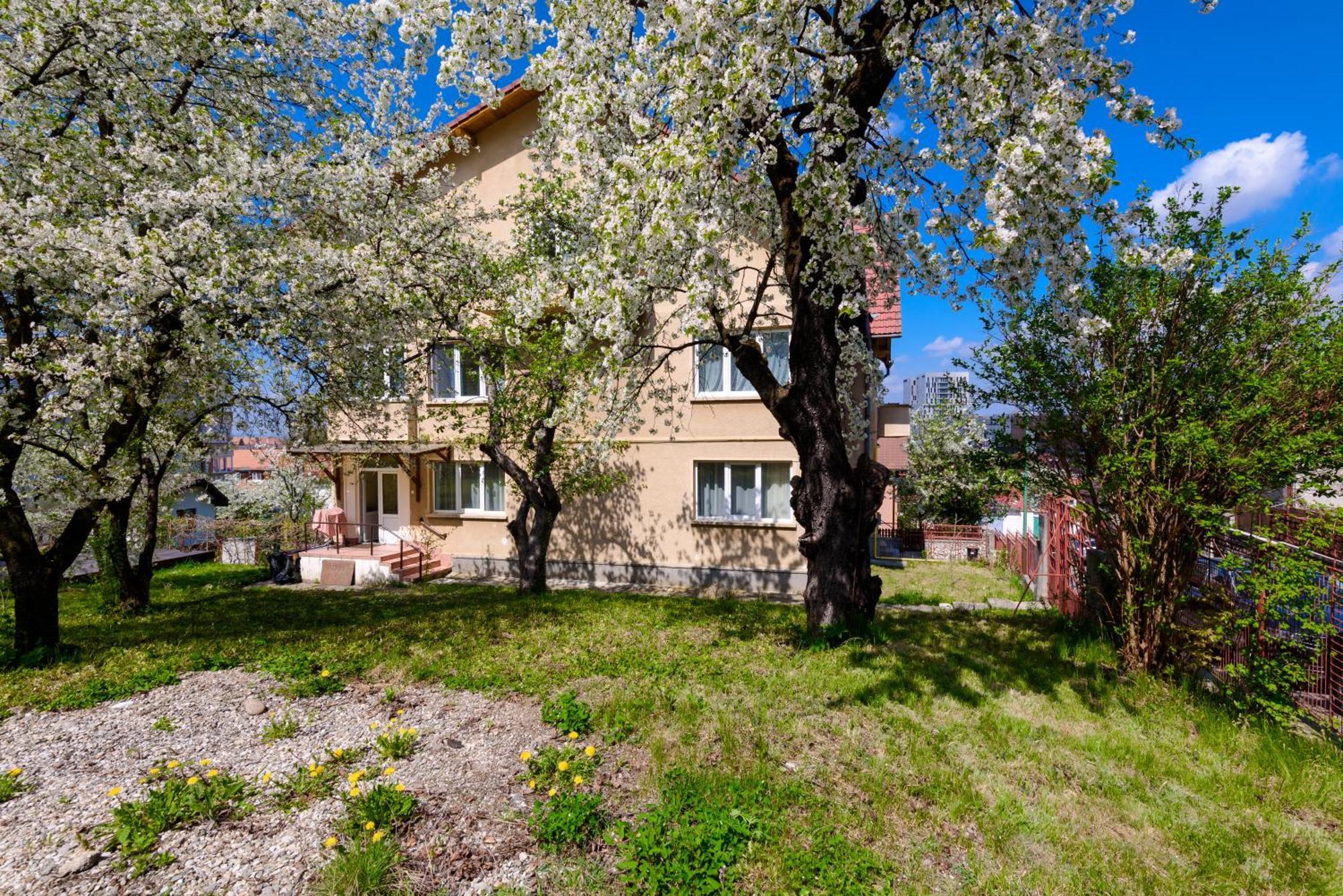 Casa Cu Cires Brasov 아파트 외부 사진